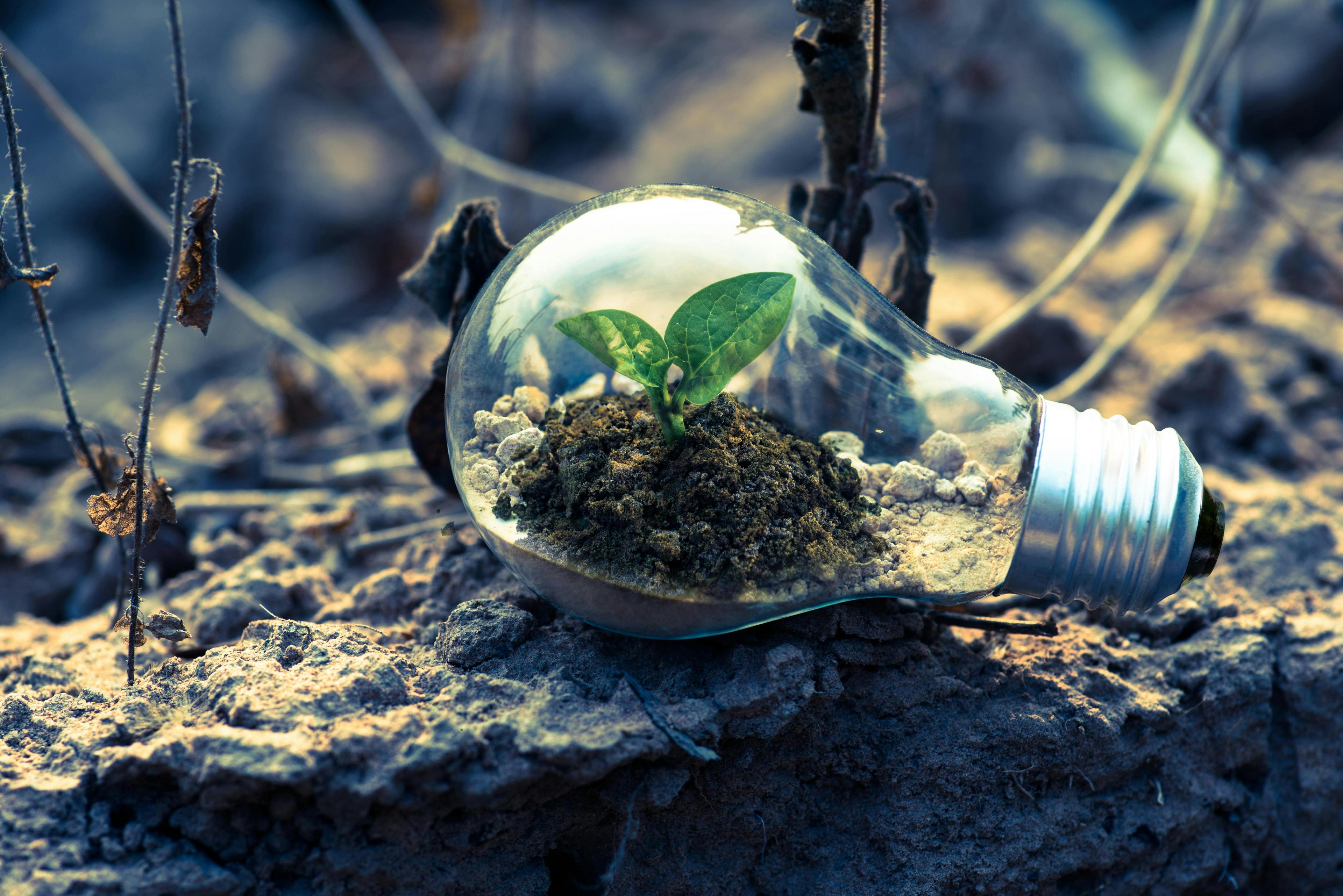 DevOps Best Practices for 2025